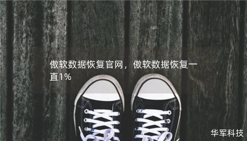 傲软数据恢复官网，傲软数据恢复一直1%