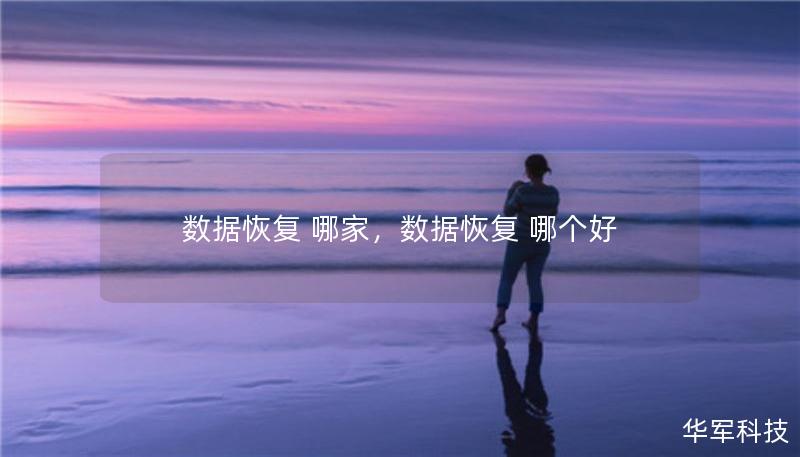 数据恢复 哪家，数据恢复 哪个好
