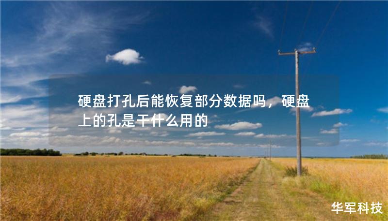 硬盘打孔后能恢复部分数据吗，硬盘上的孔是干什么用的
