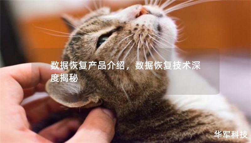 数据恢复产品介绍，数据恢复技术深度揭秘