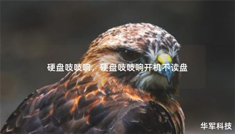硬盘吱吱响，硬盘吱吱响开机不读盘
