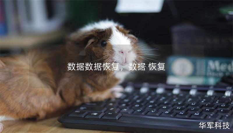 数据数据恢复，数据 恢复