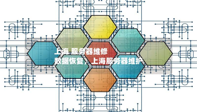 上海 服务器维修 数据恢复，上海服务器维护