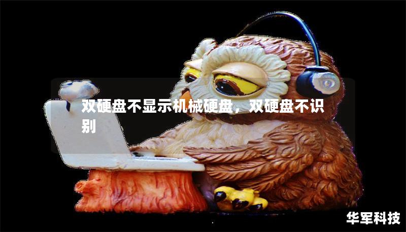 双硬盘不显示机械硬盘，双硬盘不识别
