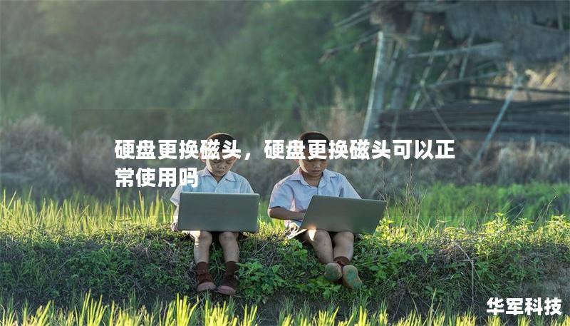 硬盘更换磁头，硬盘更换磁头可以正常使用吗