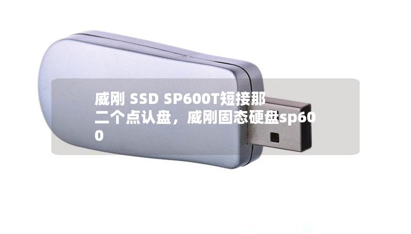 威刚 SSD SP600T短接那二个点认盘，威刚固态硬盘sp600