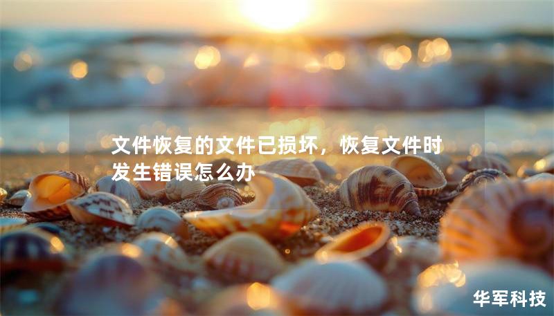 文件恢复的文件已损坏，恢复文件时发生错误怎么办