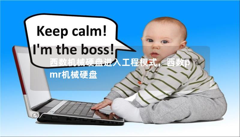 西数机械硬盘进入工程模式，西数pmr机械硬盘