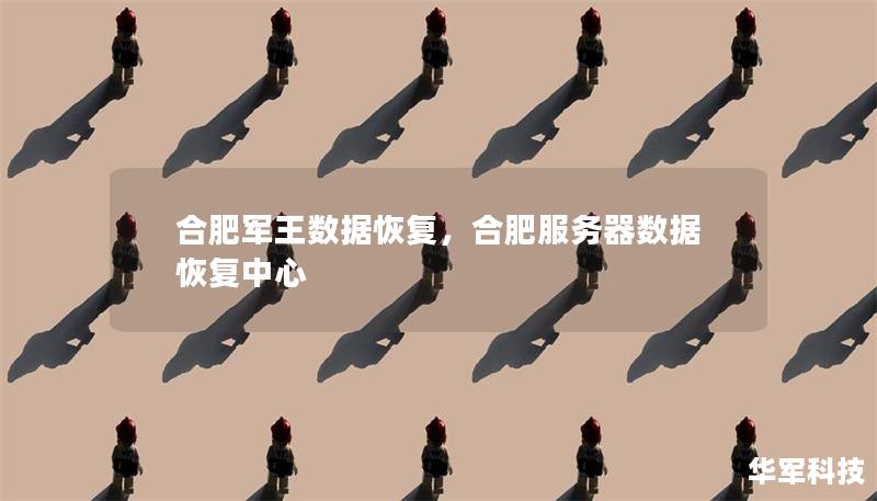 合肥军王数据恢复，合肥服务器数据恢复中心