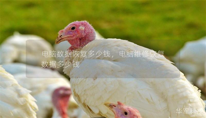 电脑数据恢复多少钱，电脑维修恢复数据多少钱