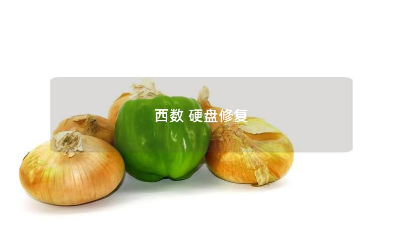 西数 硬盘修复