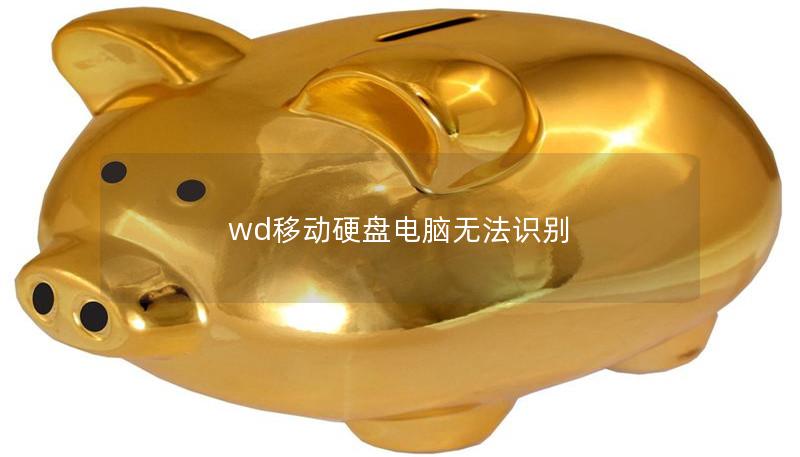 wd移动硬盘电脑无法识别