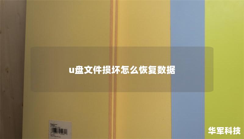 u盘文件损坏怎么恢复数据