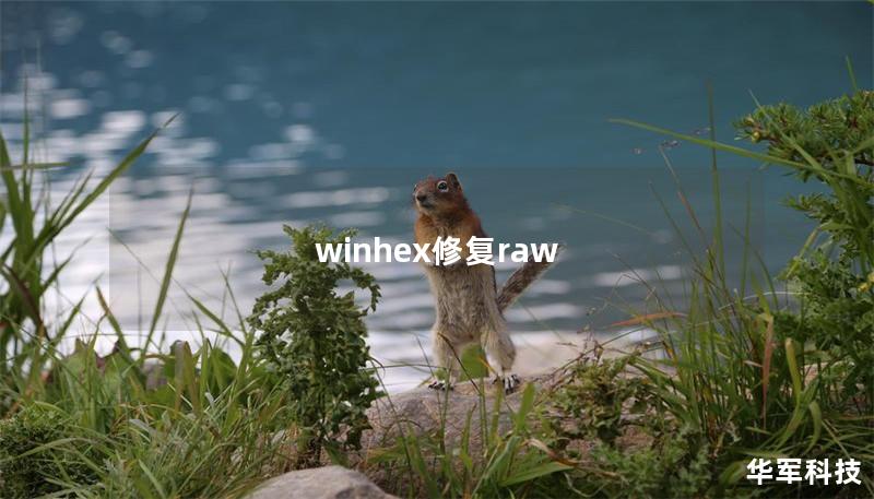 winhex修复raw