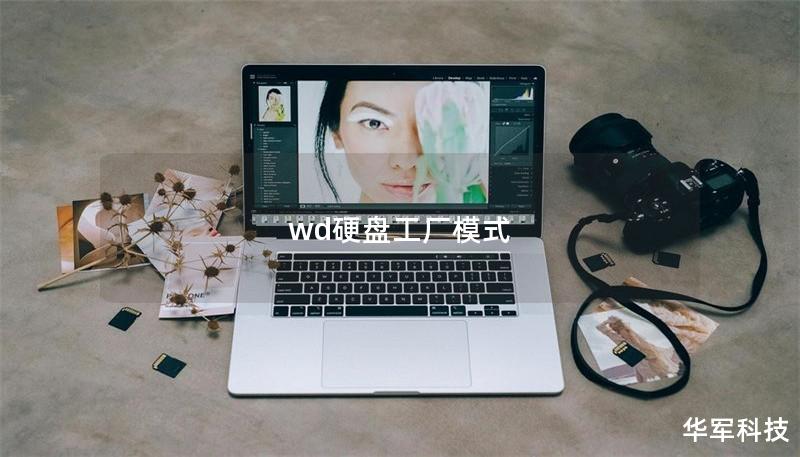 wd硬盘工厂模式