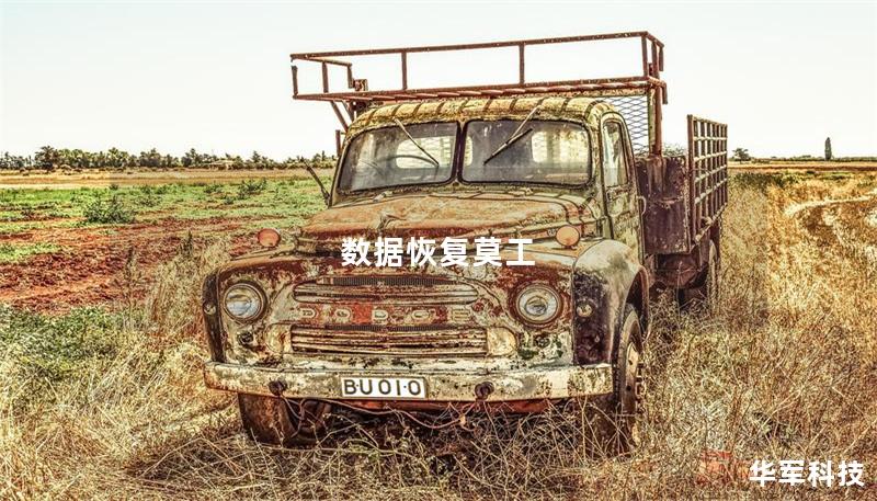 数据恢复莫工