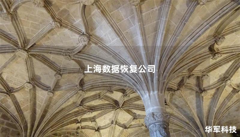 上海数据恢复公司