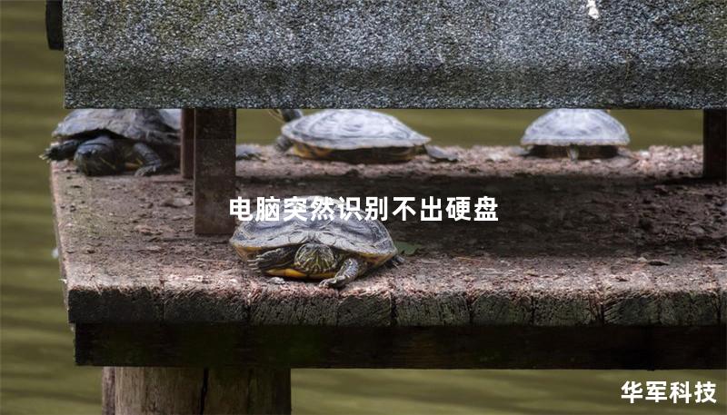 电脑突然识别不出硬盘
