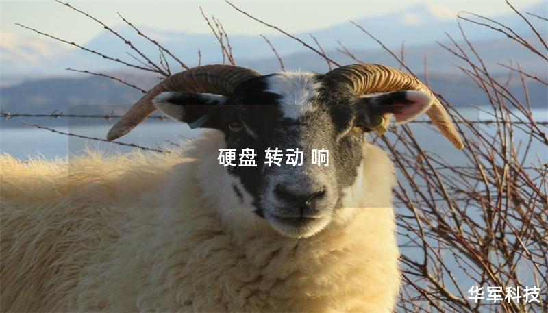 硬盘 转动 响