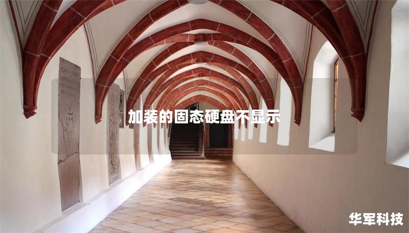 加装的固态硬盘不显示