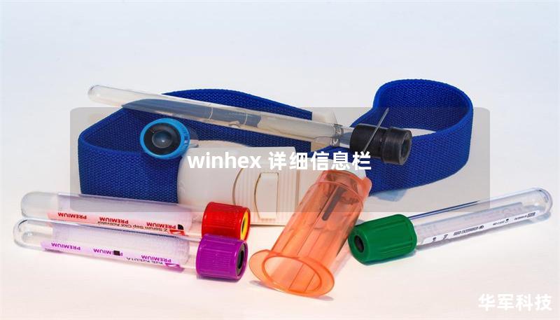 winhex 详细信息栏