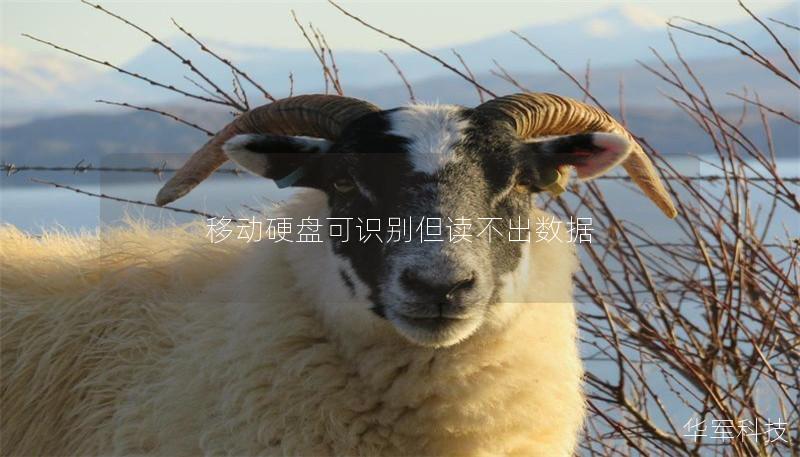 移动硬盘可识别但读不出数据