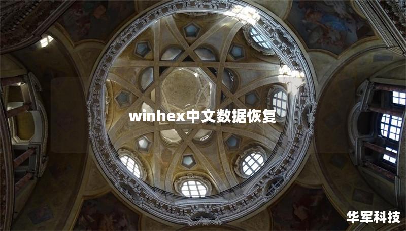 winhex中文数据恢复