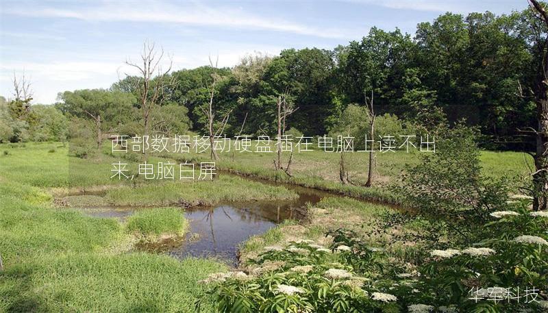 西部数据移动硬盘插在电脑上读不出来,电脑白屏