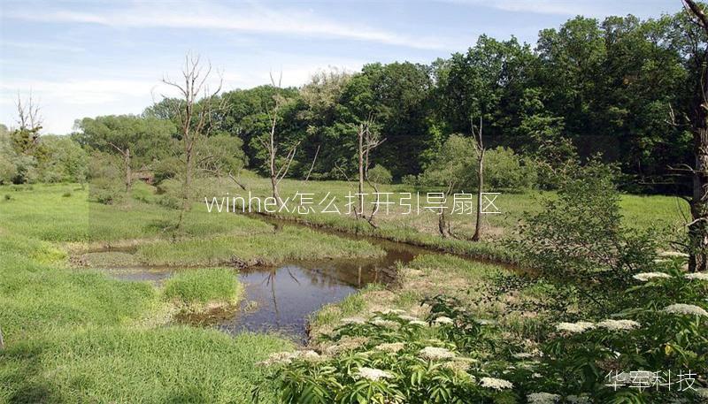 winhex怎么打开引导扇区