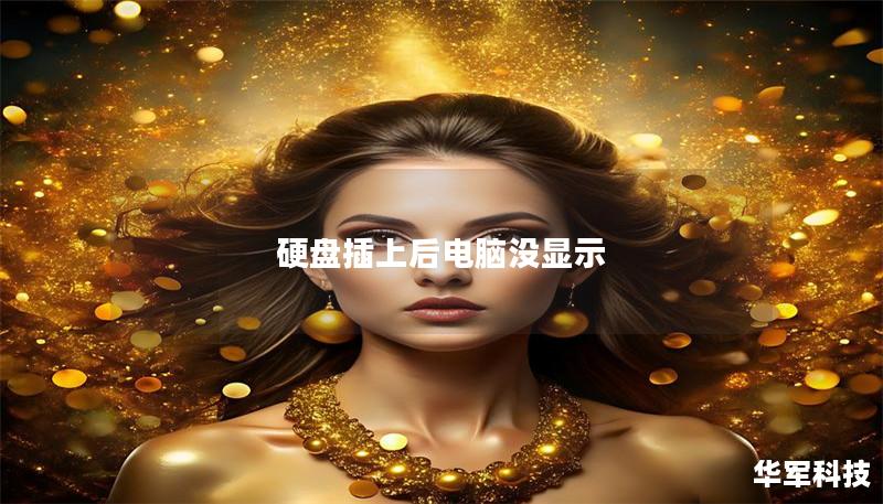 硬盘插上后电脑没显示