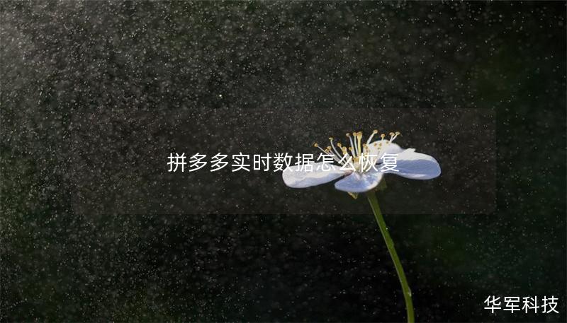 拼多多实时数据怎么恢复