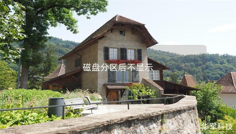 磁盘分区后不显示