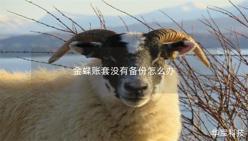 金蝶账套没有备份怎么办