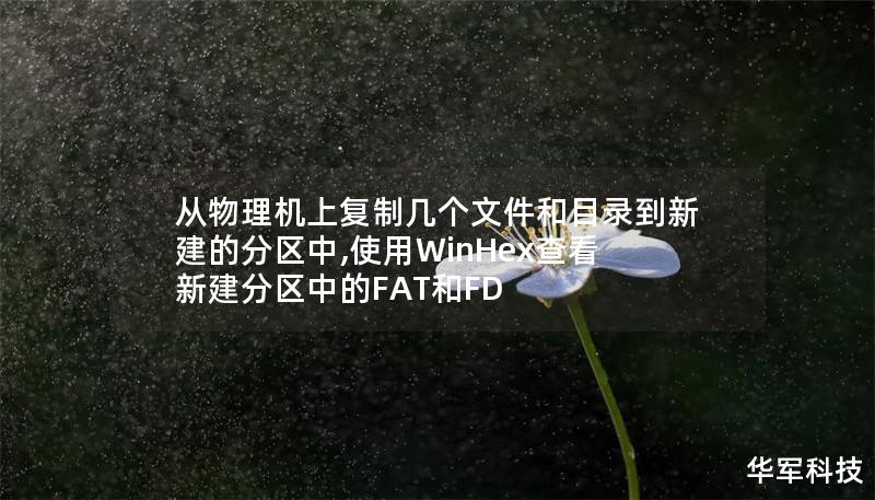 从物理机上复制几个文件和目录到新建的分区中,使用WinHex查看新建分区中的FAT和FD