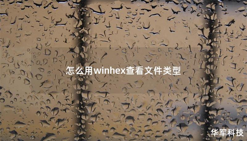 怎么用winhex查看文件类型
