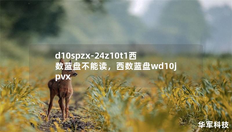 d10spzx-24z10t1西数蓝盘不能读，西数蓝盘wd10jpvx