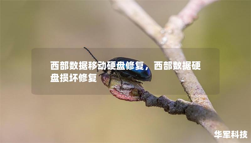 西部数据移动硬盘修复，西部数据硬盘损坏修复