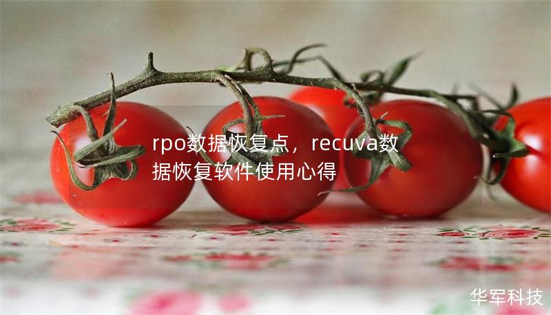 rpo数据恢复点，recuva数据恢复软件使用心得
