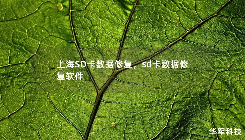上海SD卡数据修复，sd卡数据修复软件
