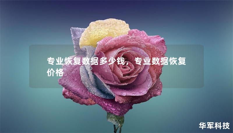 专业恢复数据多少钱，专业数据恢复价格