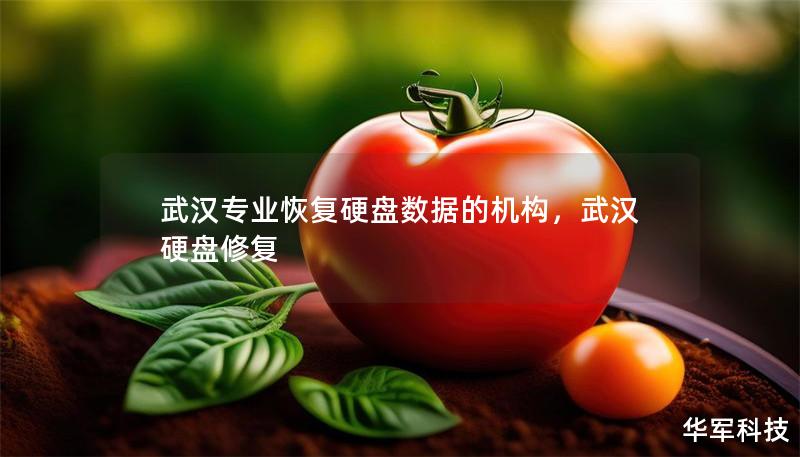 武汉专业恢复硬盘数据的机构，武汉硬盘修复