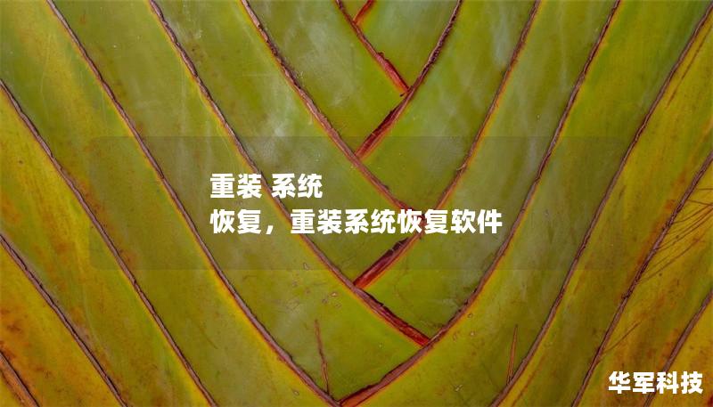 重装 系统 恢复，重装系统恢复软件