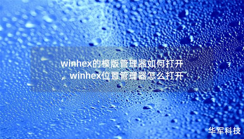 winhex的模版管理器如何打开，winhex位置管理器怎么打开