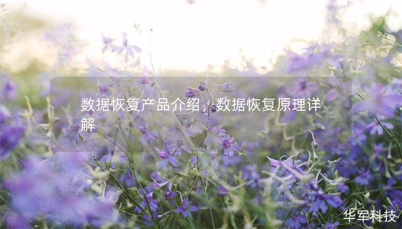 数据恢复产品介绍，数据恢复原理详解