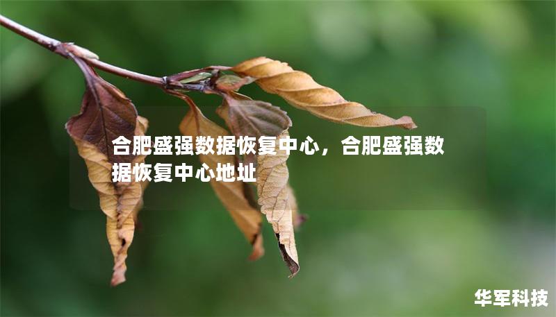 合肥盛强数据恢复中心，合肥盛强数据恢复中心地址