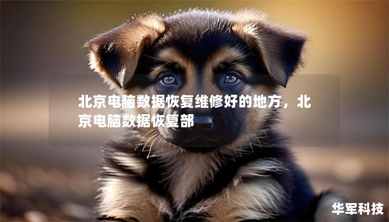 北京电脑数据恢复维修好的地方，北京电脑数据恢复部