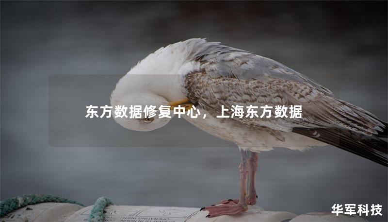 东方数据修复中心，上海东方数据