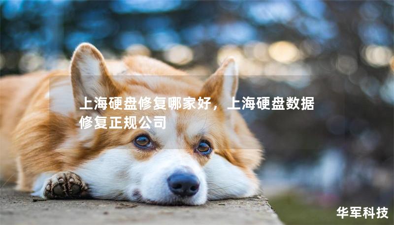 上海硬盘修复哪家好，上海硬盘数据修复正规公司