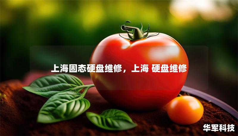 上海固态硬盘维修，上海 硬盘维修