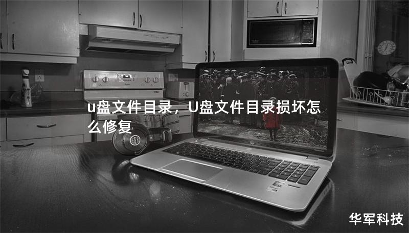 u盘文件目录，U盘文件目录损坏怎么修复
